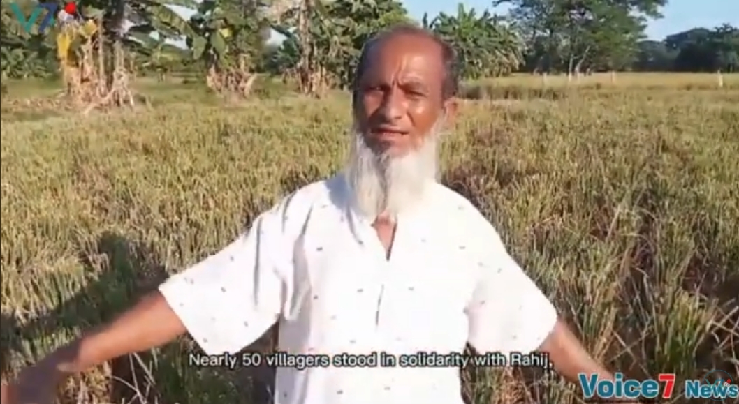 A Helpless Farmers Harvest Stripped Away in Netrakona