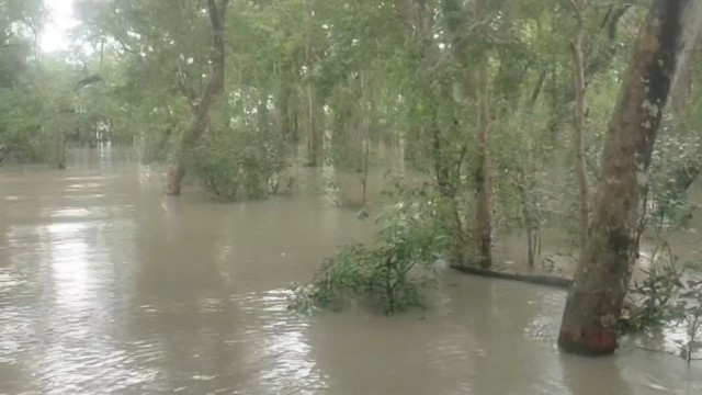 Vast areas of the Sundarbans submerged under high tidal waters triggered by a low-pressure system; forest and wildlife remain largely unharmed. (Photo: AH Sumon, Mongla/ V7N)