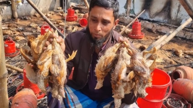 Fire Destroys Poultry Farm in Madaripur, 3,000 Chickens Killed