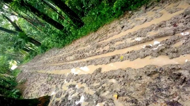 Children wade through thick mud on the only access road to Tarabunia Board Government Primary School in Rajapur, arriving soaked and exhausted—some unable to attend school at all due to the severe road conditions.