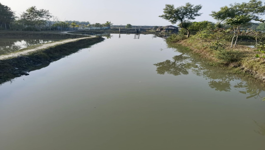 Accusations against Jubo Dal cadres for forcefully seizing an 80-acre shrimp enclosure have sparked unrest in the region.