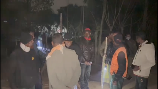 Royal Bengal Tiger Caught in Poachers’ Trap in the Sundarbans Near Mongla