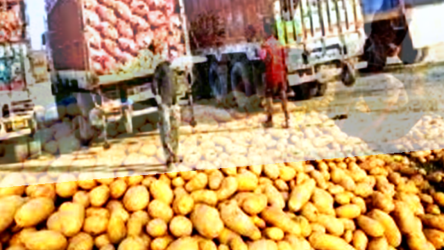 Govt aims to reduce price swings