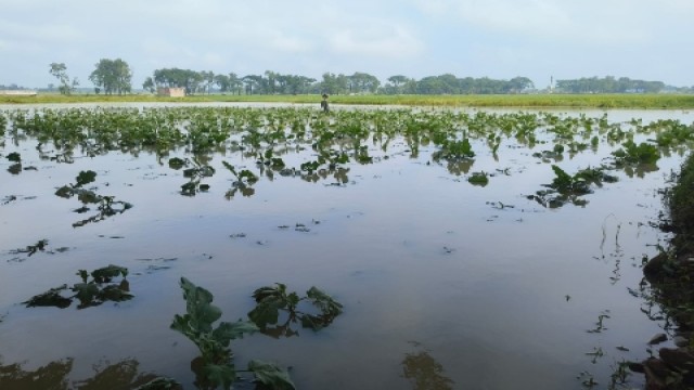 WASA Contractor’s Negligence Floods 400 Bighas of Rajshahi Farmland
