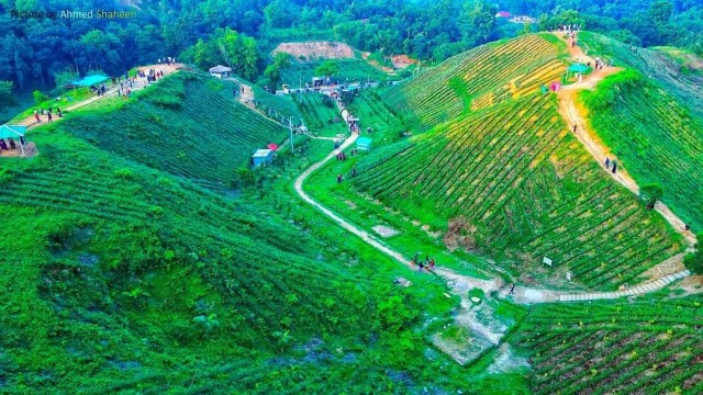 Controversy Erupts Over Appointment of AL Leaders Wife as Golapganj UNO