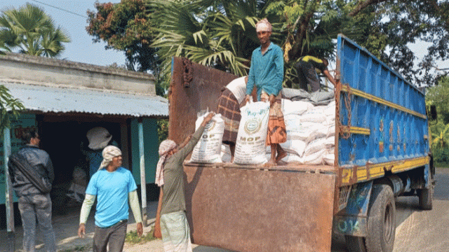 Fertilizer Shortages Hit Potato Farmers in Rajshahi, Raising Costs