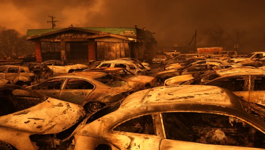 Deadly LA Wildfires Claim 10 Lives, Destroy 10,000 Structures