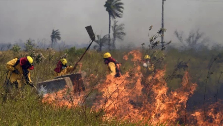 Bolivia Declares National Emergency Amid Devastating Wildfires