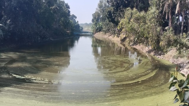 Narad River Dredging Fails to Benefit Farmers in Puthia