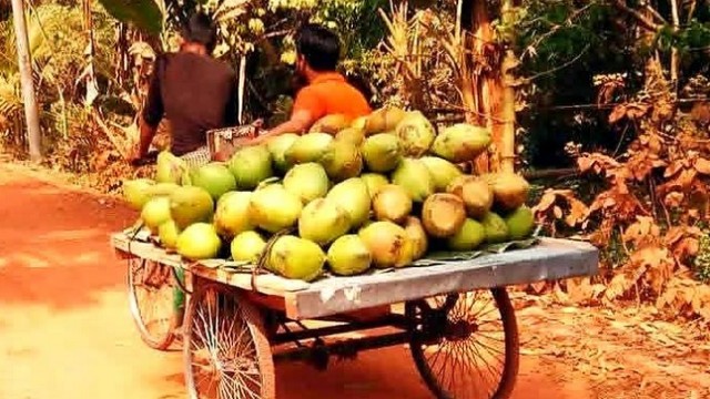 Unfinished Road in Rajapur Causes Dust, Disease and Poverty