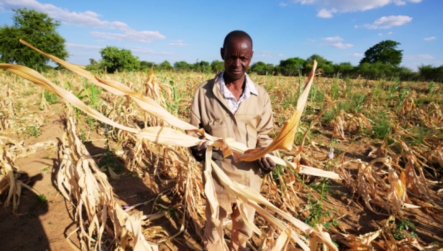 Adapting to Climate Change: Africa’s Agricultural Evolution