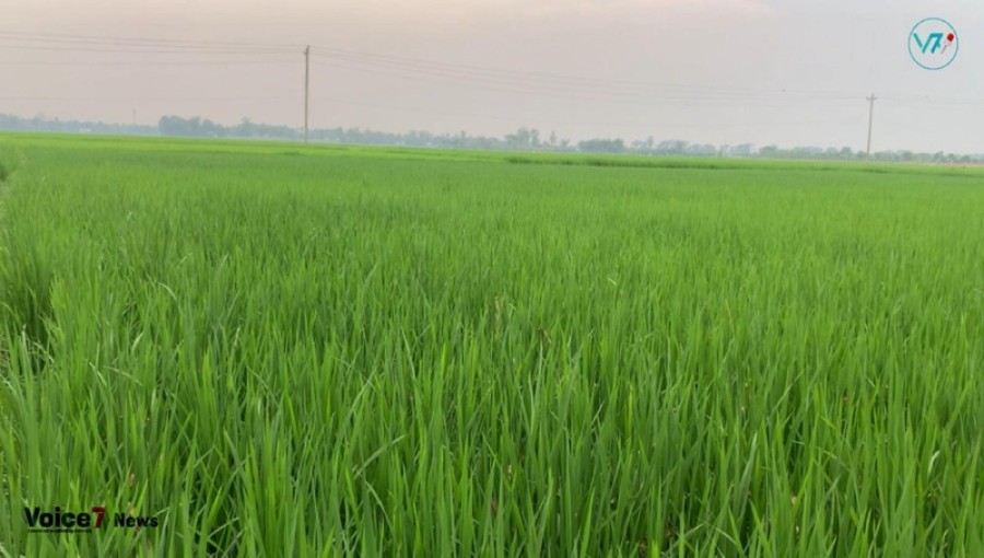 The image was captured at the Habiganj district's Madhabpur Upazila Andiura village: Photo By: Rajib Ahmed