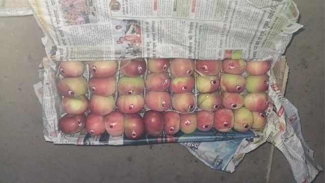 Apple Import from India Resumes Through Hili Land Port After 11 Years