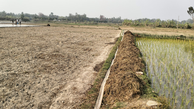 Sukumar Pramanik from Bagmara struggles to irrigate six bighas of Boro land after a deep tube well installation disrupts his water supply.