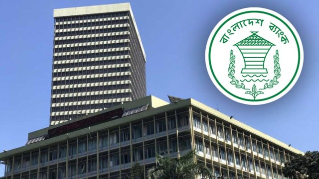 NPLs Surpass 30%: Agriculture and Trade Hit Hardest as Bad Loans Surge