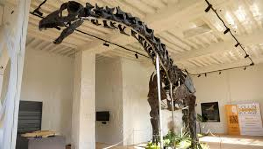 Massive Dinosaur Skeleton Auctioned Off in France