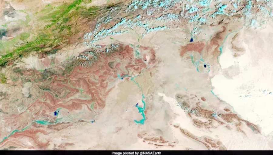 NASA Discovers Signs of Green Vegetation in Sahara Desert After Heavy Rains