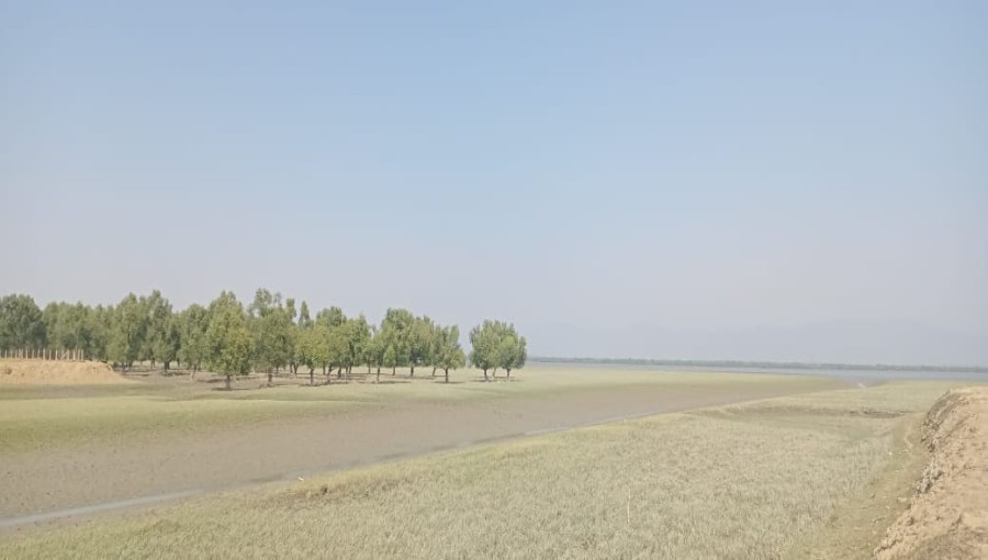 The booming sound of mortar rounds being fired in Bangladesh, close to the Myanmar border, around 12:10 PM.