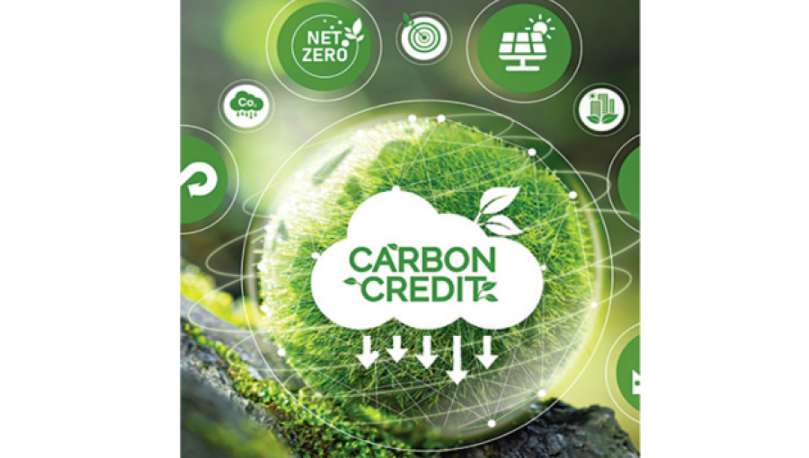 Carbon Credit Programs Eligible for New 'Integrity' Label to Ensure Emissions Reductions