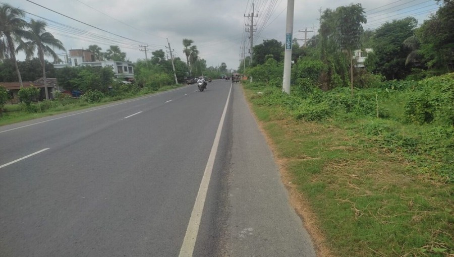 Embezzlement Claims Surface Roadside Reforestation Initiative in Northern Bengal. Photo: V7N