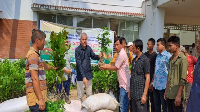 Coffee and cashew farming initiatives in the Chattogram Hill Tracts aim to boost local economy and preserve the environment.
