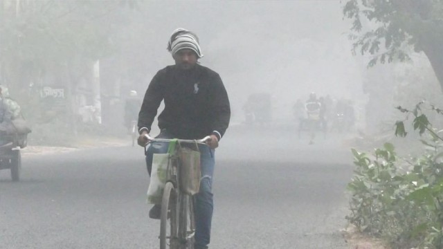 Dense Fog and Severe Cold Grip Chuadanga