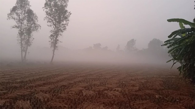 Cold Intensifies in Panchagarh as Temperature Drops to 13.4°C