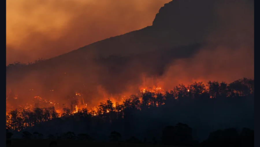 UEA Study Calls for Global Action to Meet Paris Climate Goals