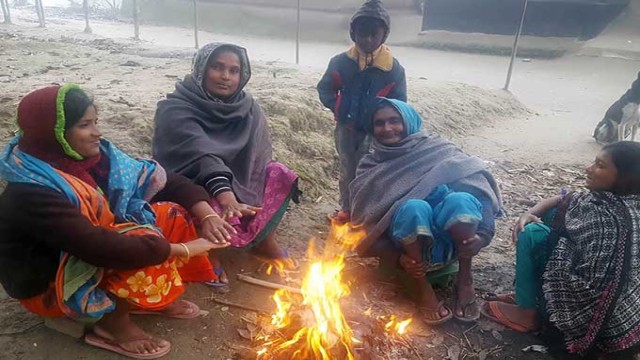 Severe Cold Wave Disrupts Life and Crops in Rajshahi’s Bagha Region