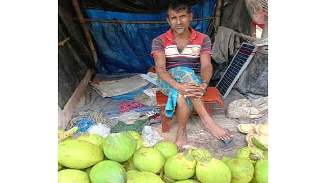 Coconut Prices Soar in Natore, Consumers Demand Investigation