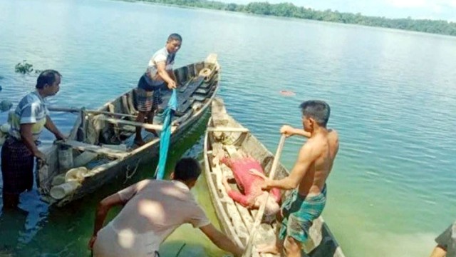 Local fishermen and residents recover the body from Kaptai Lake after the tragic drowning incident in Rangamati’s Bilaichhari area.