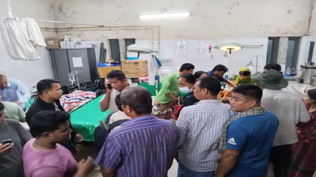 Wild Elephant Attack in Rangamati Kills Elderly Woman, Injures Another