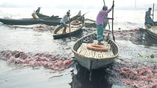 DoE) today conducted operations in the Shyampur Kodomtoli industrial area aimed at preventing the discharge of polluted waste into the Buriganga River