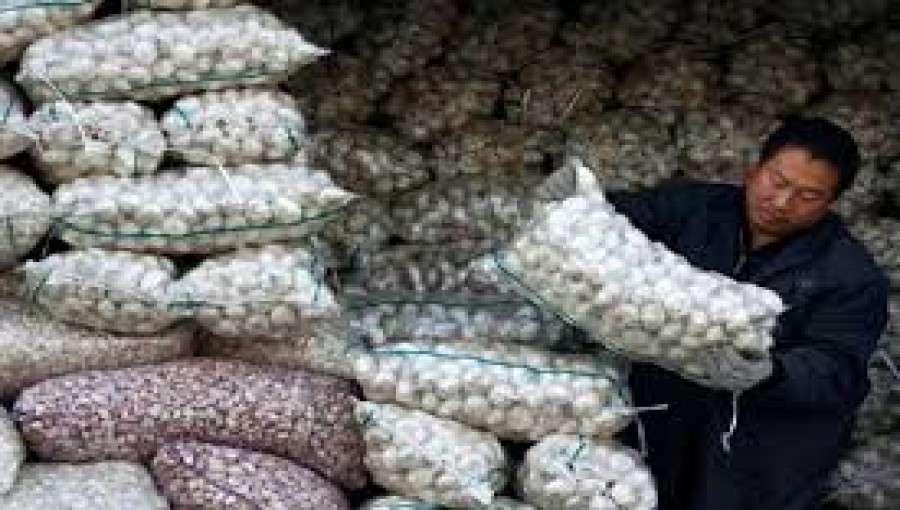 Garlic Imported Through for First Time in Mongla Port