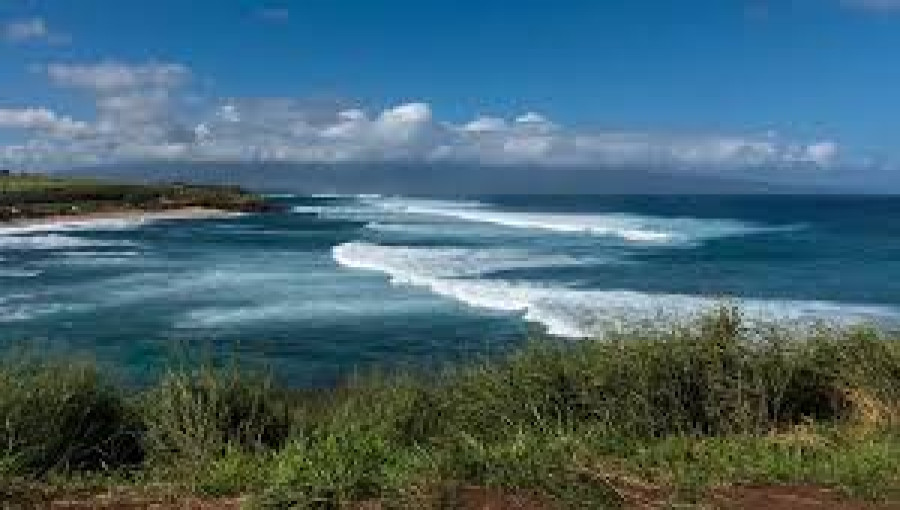 Waiehu Beach: A popular surfing spot in Maui, where a local surfer recently experienced a life-threatening shark attack.