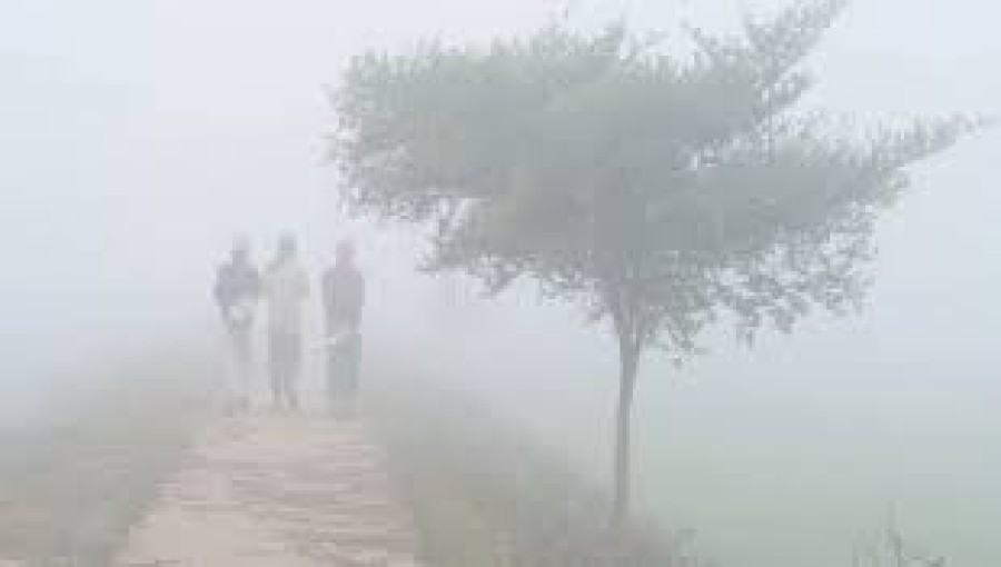 Mild Cold Wave to Persist Over Northern Bangladesh, Fog Likely in Morning