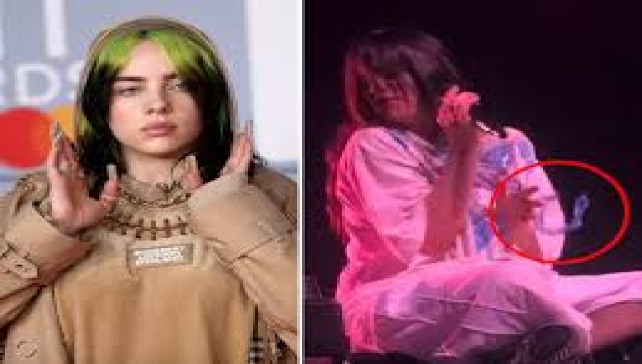 Billie Eilish Hit by Object During Arizona Performance