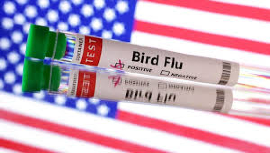 "Health officials confirmed the first severe human case of H5N1 bird flu in Louisiana, following exposure to sick and dead birds in a backyard flock."