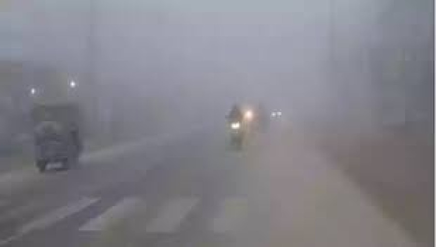 People in Bangladesh endure severe cold wave as dense fog disrupts daily life, especially in rural areas.