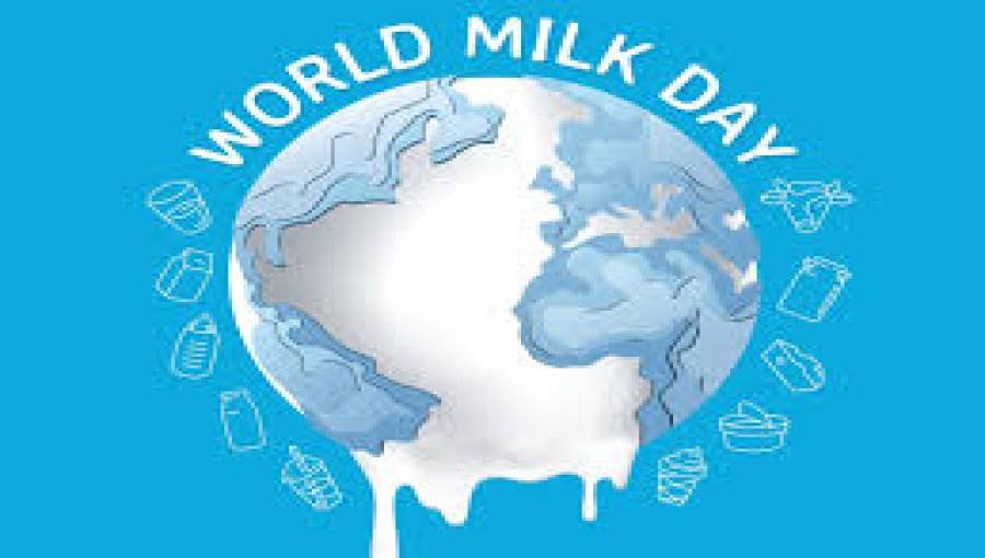 World Milk Day: Nourishing Global with Health & Happiness