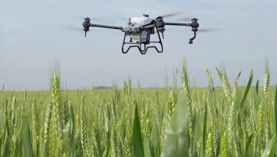 FAO Introduces Drone Technology for Climate-Smart Agriculture in Southern Iraq's Rice Fields