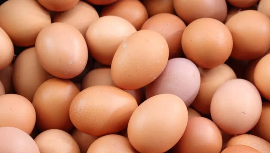 Government Approves Import of 188 Million Eggs to Stabilize Market Prices