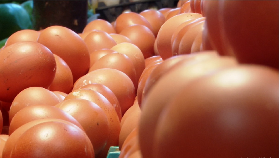 Market Prices of Eggs Slightly Decrease, Still Above Government-Mandated Rates