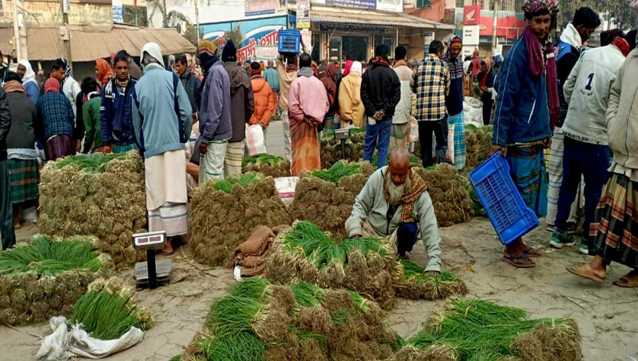 Farmers and sellers at Baneshwar Haat, Puthia, raise concerns over the collection of additional rent for onion seedlings.