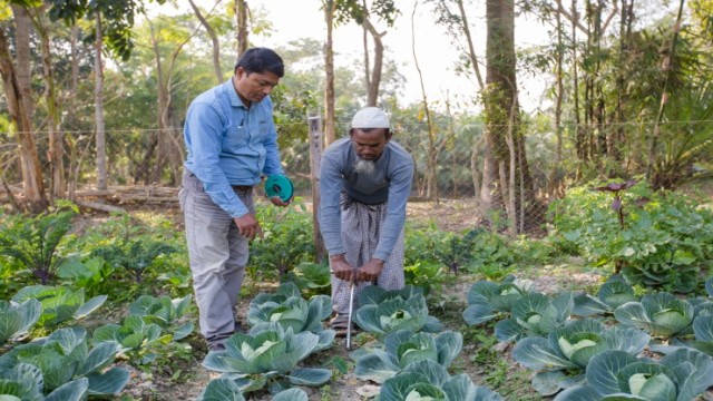 UCB arranges a farming business training event in Sandwip