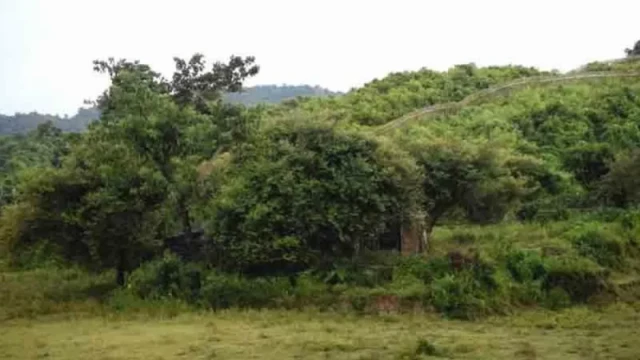 Explosions Near Myanmar Border Trigger Panic in Bandarban’s Naikhongchhari