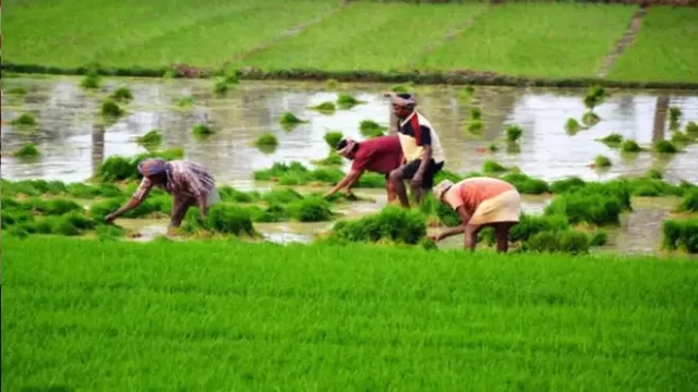 Govt to give 2.27cr farmers smart cards: Agri Secy