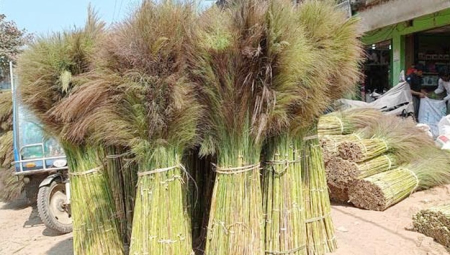 "Broom flowers, known locally as 'Jhaduphool', await buyers in Khagrachari's bustling market, showcasing their vibrant colors and natural beauty." Photo: Voice7 News