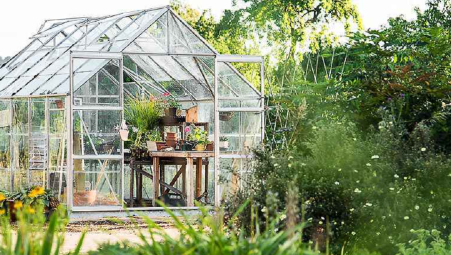 Greenhouses Control the Weather for Perfect Plant Growth