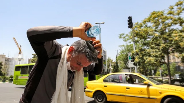 Photo: Collected
